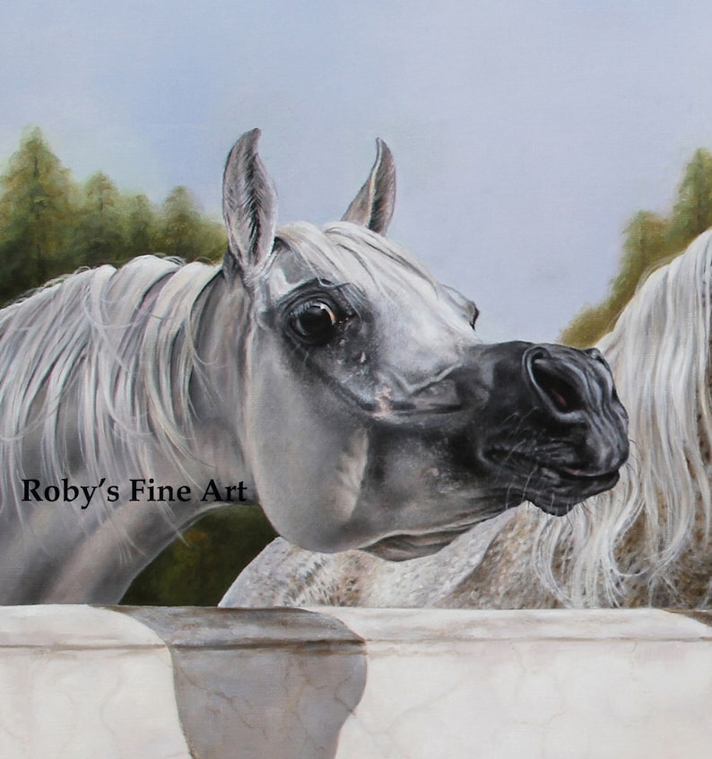May include: A detailed painting of a white horse's head, with a black muzzle and expressive eye. The horse has a flowing white mane and is set against a backdrop of trees and a light blue sky. The text "Roby's Fine Art" is visible.