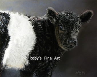Cattle Art Print Belted Galloway Calf "Double Stuff" 8 x 10 inch Giclee by Artist Roby Baer PSA