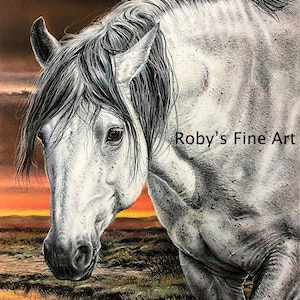 Limited Edition Wild Mustang Horse Art Print &quot;Silver&quot; By Roby Baer PSA
