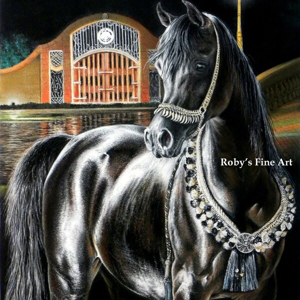 Limited Edition Arabian Horse Art Print "Midnight Jewel" By Roby Baer PSA