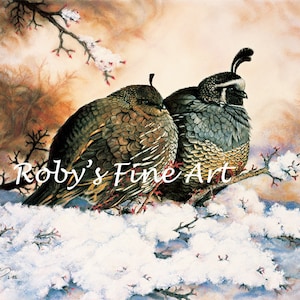 Limited Edition Valley Quail Print &quot;Quiet Romance&quot; Art Lithograph By Wildlife Artist Roby Baer PSA