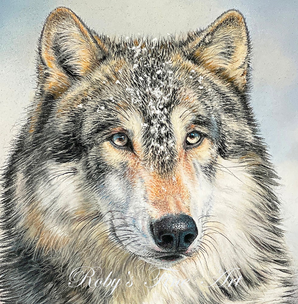 Timber Wolf Art Print 