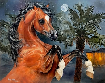 Arabian Stallion Horse Art Print "Midnight Moon" 5 x 7 inch Giclee by Artist Roby Baer PSA