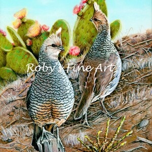 Limited Edition Scaled Quail Art Print &quot;Cottontops&quot; By Wildlife Artist Roby Baer PSA
