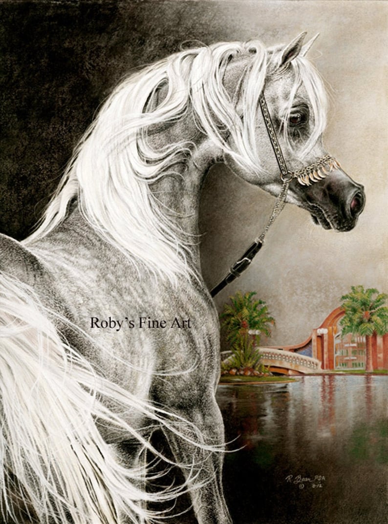 Arabian Horse Art Print arabian Stallion