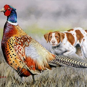 Könnte beinhalten: Ein Gemälde eines Fasanen mit einem braunen und weißen Hund im Hintergrund. Der Fasan steht im hohen Gras und der Hund schaut ihn an.