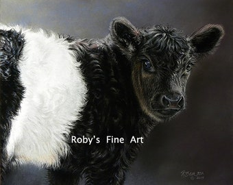 Cattle Art Print Belted Galloway Calf "Double Stuff" 5 x 7 inch Giclee by Artist Roby Baer PSA