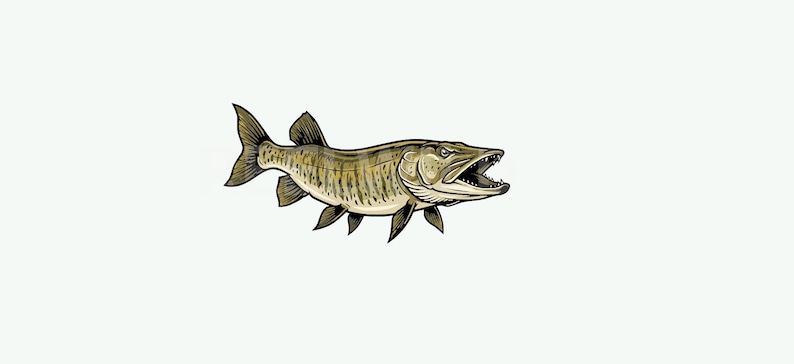 Muskie Fish SVG PNG JPG | Musky Fishing Logo | Predator Fish Clipart ...