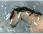 Majestic Horse Bucksin Dun Pinto Curly Stallion Portrait - ArT Prints by Bihrle mm92