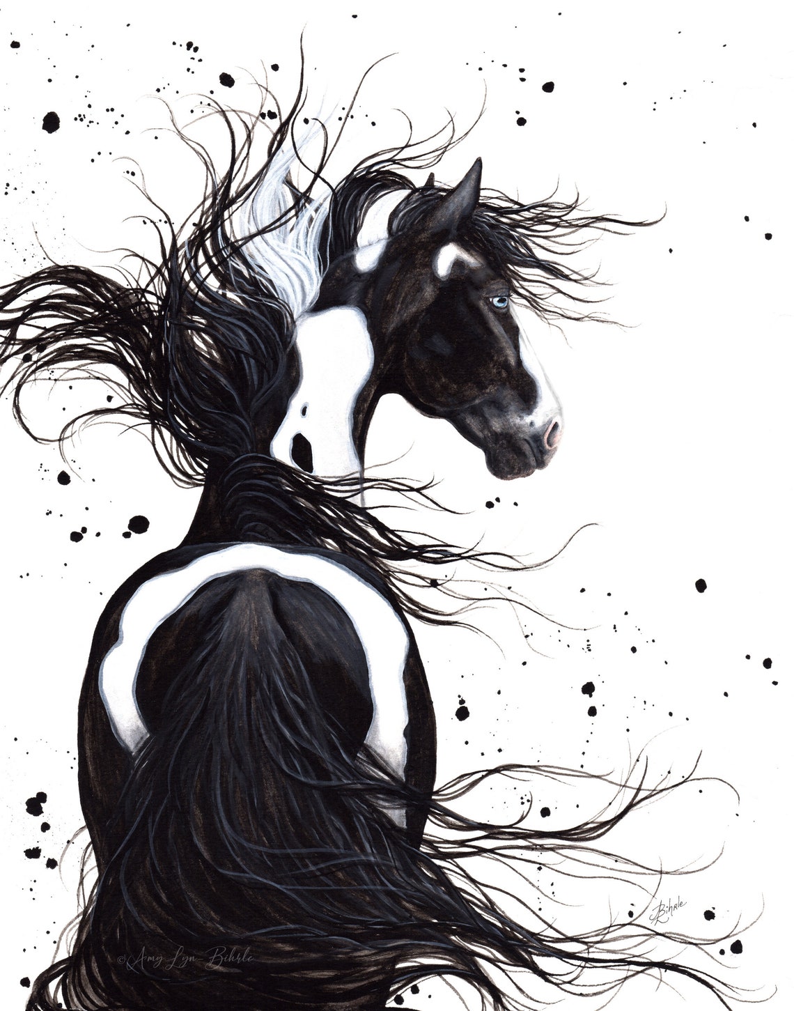 Majestic Horse Black White Pinto Paint Art Prints by Bihrle Etsy