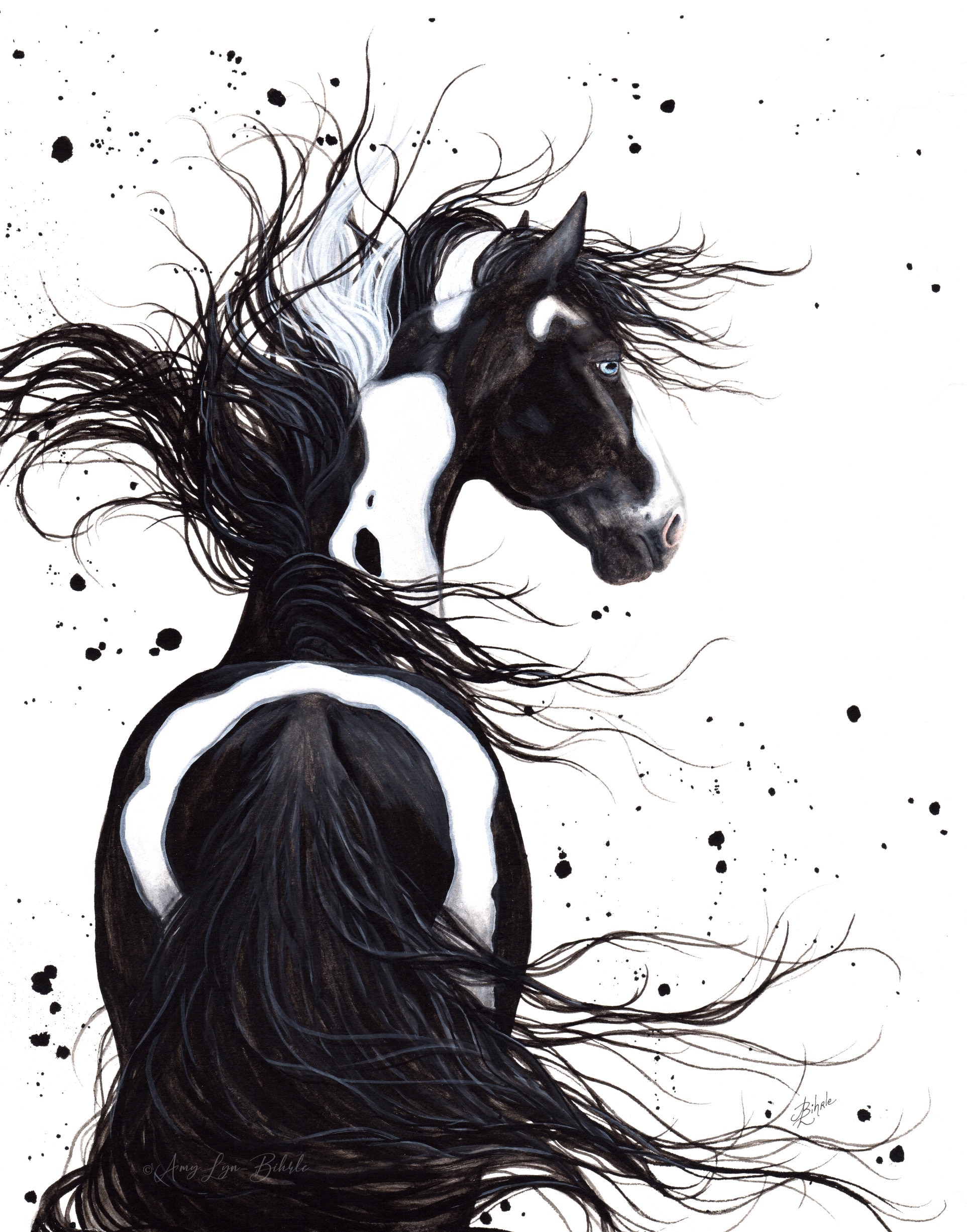 Black And White Paint Horses