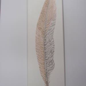 May include: A watercolor painting of a single brown and gray feather with a white background. The feather is depicted in detail, showing its intricate pattern and texture. The artist's signature is visible in the bottom right corner.