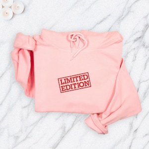 Limited Edition Embroidered Sweatshirt, Chic Crewneck Jumper, Trendy Birthday Gift Hoodie, Embroidery Pullover for Him or Her
