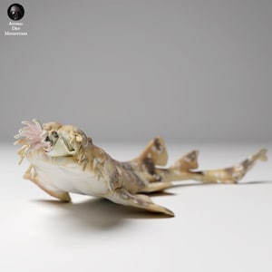 May include: A tan and brown wobbegong shark figurine with a mottled pattern and a light-colored, fringed mouth area. The creature has a flattened body, multiple fins, and a long, slender tail. The text Animal Den Miniatures appears in the corner.