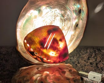 Abalone Seashell Shell Lamp Table Night Light Nautical Decor Vintage