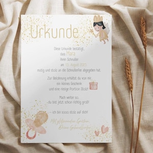 Digital Download Pacifier Fairy Certificate / Letter Toddler Pacifier Fairy / Post from the Pacifier Fairy personalized with name / Pacifier-free