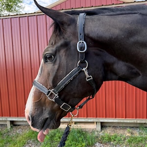 USA Made Leather Adjustable Horse Halter with Snake Skin Look Padding - Full Horse Size FREE Bridle Tag!!