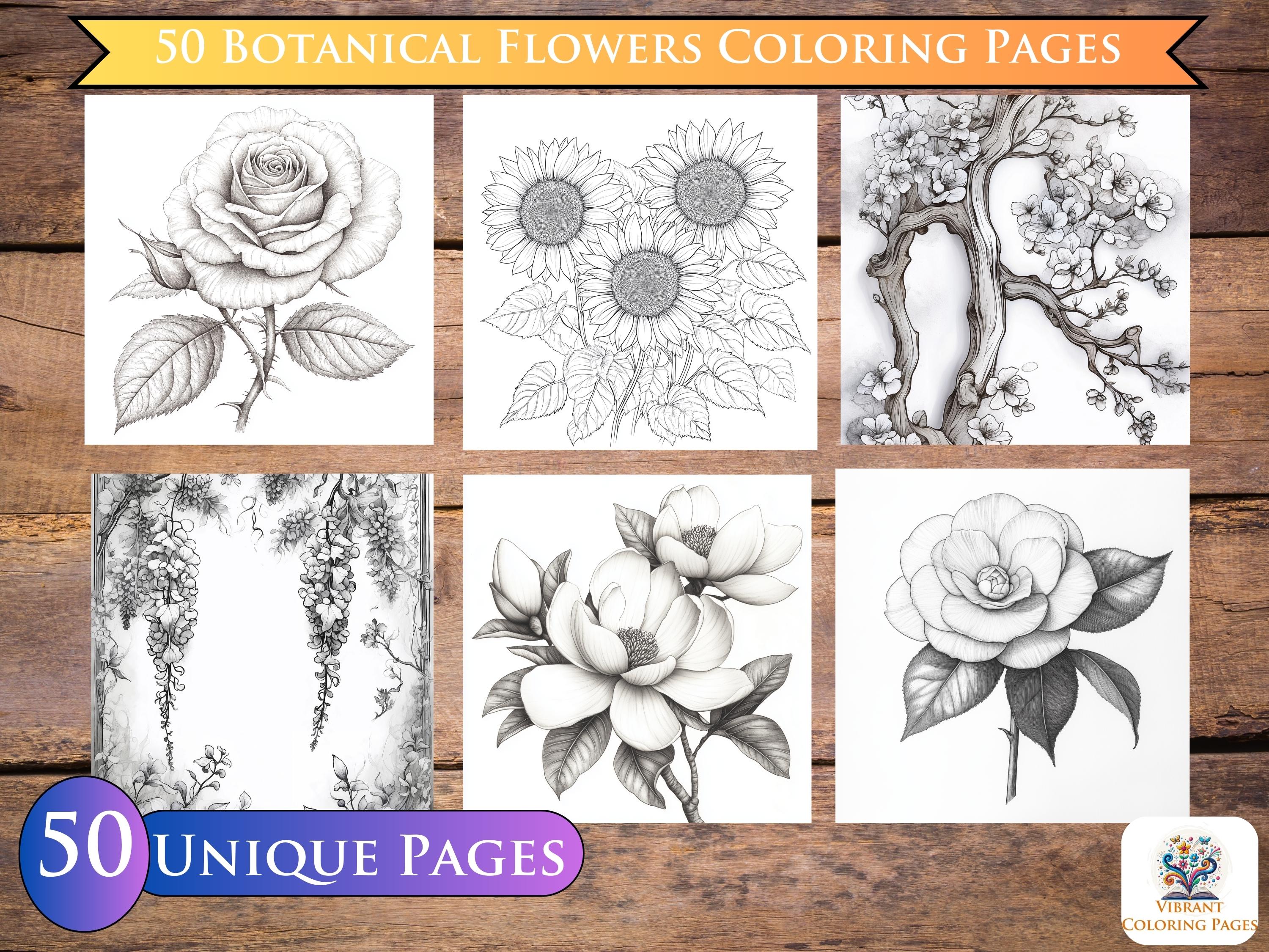50 Botanicals Coloring Book Pages - Inspiring Coloring Flowers for ...