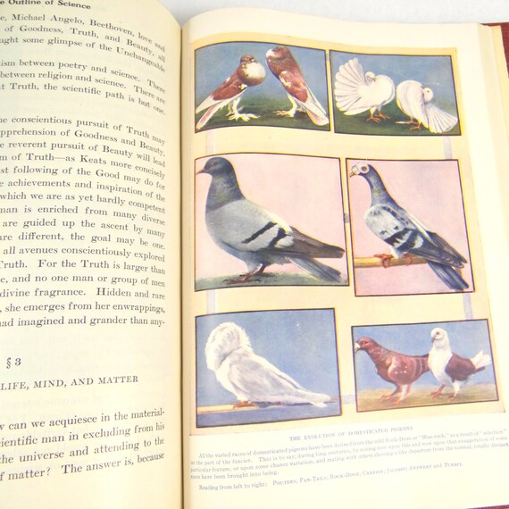 The Outline Of Science J Arthur Thomson Hardcover 1937 - 