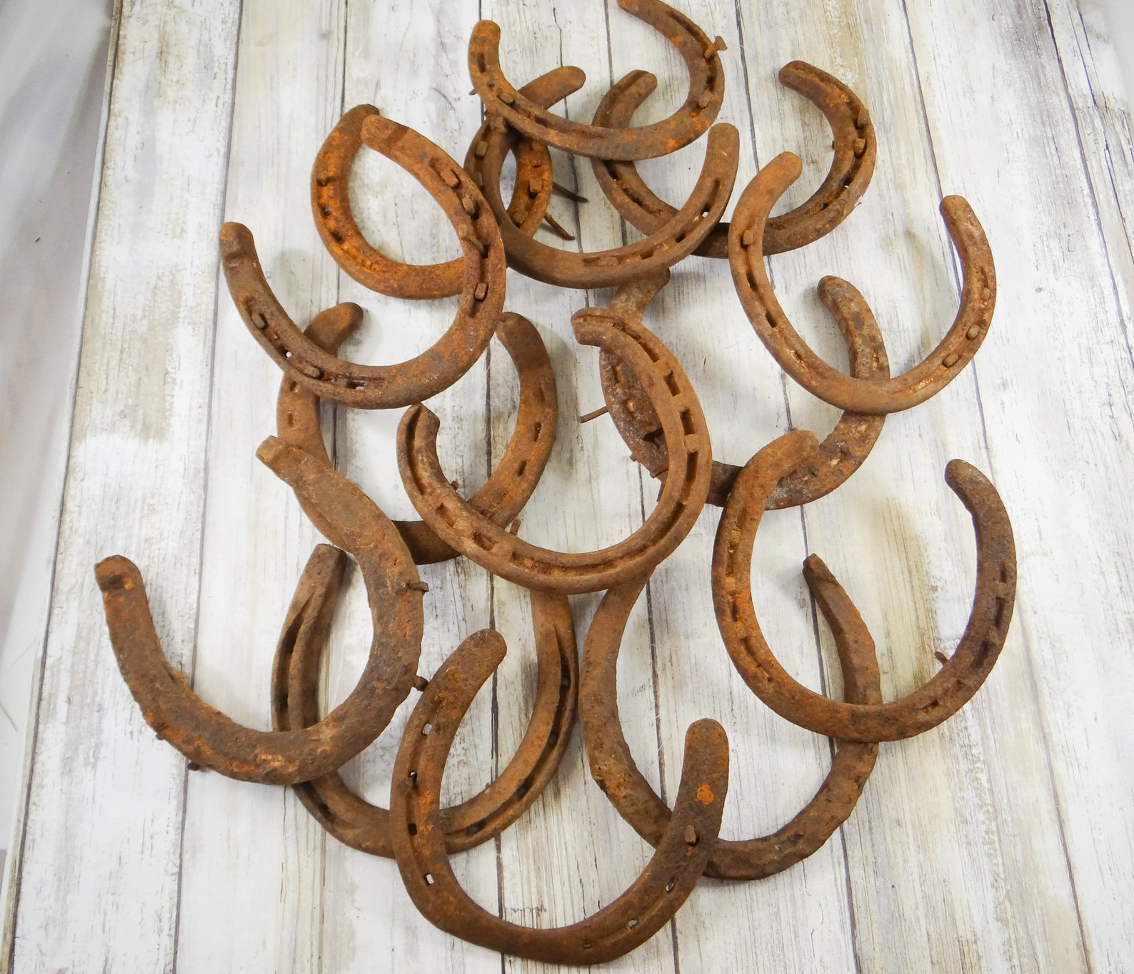 Vintage Horseshoe Priced Individually Etsy