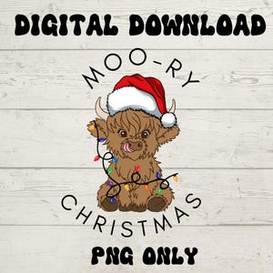 May include: A brown Highland cow wearing a red Santa hat and holding colorful Christmas lights. The text "Moo-ry Christmas" is written around the cow and the text "PNG Only" is written below the cow.