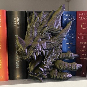 Dragon Book Nook