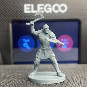 Human Male Fighter/Barbarian Dual Wielding