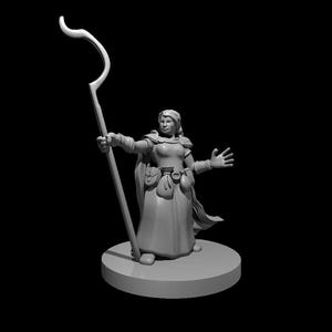 Dwarf Female Druid/Sorcerer/Wizard