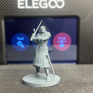 May include: A gray 3D printed miniature of a person holding a sword, standing on a round base. The miniature is in front of a black and blue screen with the word "ELEGOO" printed on the top.