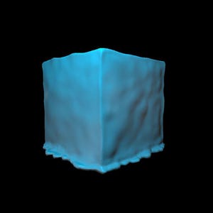 Gelatinous Cube