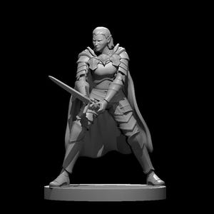 May include: A gray painted miniature figurine of a female elf warrior holding a sword in a fighting pose. She is wearing armor and a cloak.