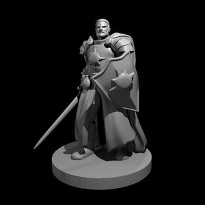 Human Male Cleric/Fighter/Paladin