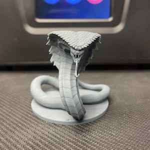 Naga