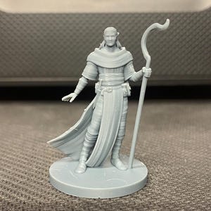 Human Male Druid/Monk/Sorcerer/Wizard