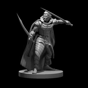 Elf Male Ranger/Fighter Dual Wielding