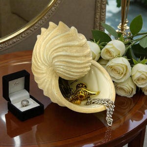 Puede incluir: Un joyero decorativo en forma de concha de color crema. En el interior, una cadena plateada, una lámpara de genio dorada y llaves son visibles. Una caja de anillo negra con un anillo de diamantes está a la izquierda. Rosas blancas en el fondo.