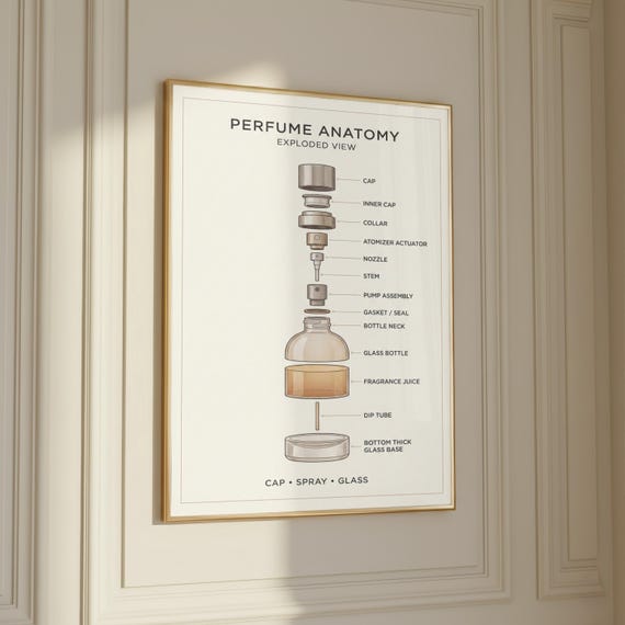 Perfume Anatomy Exploded View Poster | Minimalist Beauty Room Decor | Vintage Fragrance Chart | Retro Vanity Print | Boutique Artwork