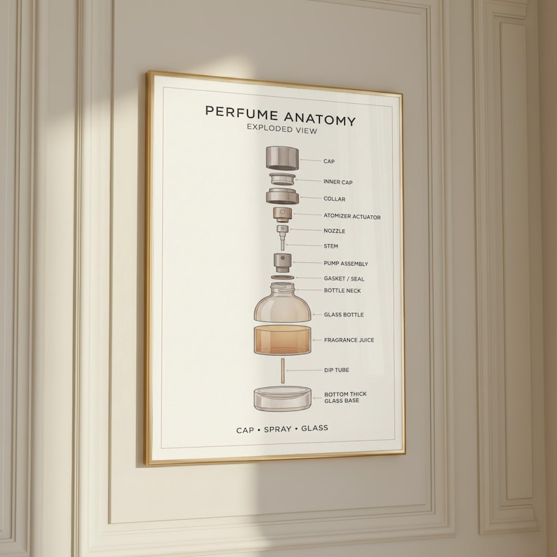 The image is a poster or diagram titled "PERFUME ANATOMY EXPLODED VIEW" that provides a detailed illustration of the components of a perfume bottle, including the cap, inner cap, collar, atomizer, nozzle, pump assembly, glass bottle, glass bottle, fragrance juice, dip tube, and base.