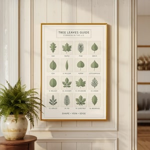 Może przedstawiać: Oprawiony wydruk zatytułowany "Tree Leaves Guide Common in the U.S." przedstawia ilustracje różnych kształtów liści, w tym dębu, klonu i sosny. Przewodnik jest w złotej ramie i jest wyświetlany na białej ścianie.