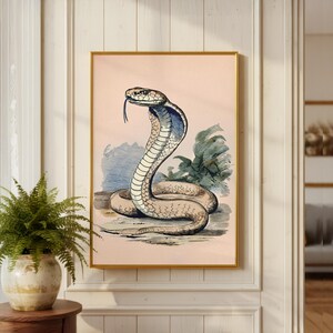 Könnte beinhalten: Gerahmte Vintage-Illustration einer Kobraschlange. Die Schlange ist mit einem detaillierten, strukturierten Muster in Beigetönen mit blauen und weißen Akzenten dargestellt. Der Hintergrund ist ein zartes Rosa mit Hauch von Blau und Grün.