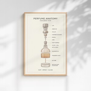 The image is a framed diagram titled "PERFUME ANATOMY EXPLODED VIEW" that provides a detailed illustration of the components of a perfume bottle, including the cap, inner cap, collar, atomizer, stem, pump assembly, gas/seal, bottle neck, glass bottle, fragrance juice, dip tube, bottom thick glass base, and glass.