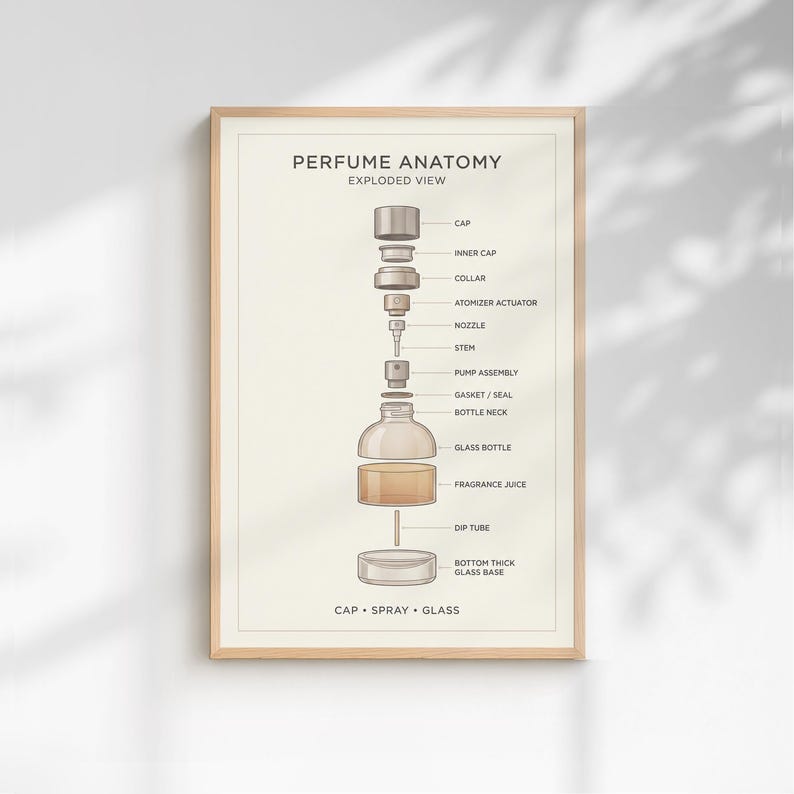 The image is a framed diagram titled "PERFUME ANATOMY EXPLODED VIEW" that provides a detailed illustration of the components of a perfume bottle, including the cap, inner cap, collar, atomizer, stem, pump assembly, gas/seal, bottle neck, glass bottle, fragrance juice, dip tube, bottom thick glass base, and glass.