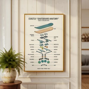 May include: A framed print titled "Exactly Skateboard Anatomy" with an exploded view diagram of skateboard parts. The diagram includes labels for grip tape, deck, trucks, wheels, and hardware. The print is in a gold frame.