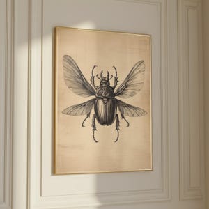 Puede incluir: Una impresión enmarcada que presenta una detallada ilustración en blanco y negro de un escarabajo con las alas extendidas. La obra de arte está sobre un fondo dorado y encerrada en un marco dorado, creando una estética vintage.