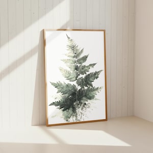 Może przedstawiać: Oprawiony botaniczny nadruk przedstawiający szczegółową ilustrację paproci. Liście paproci są mieszanką zieleni i szarości, na białym tle. Rama jest w kolorze jasnobrązowym, dodając naturalnego charakteru dziełu sztuki.