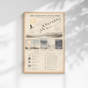 May include: A framed print titled "Bird Migration and Weather" with illustrations of birds in flight, weather conditions, navigation cues, and migration facts. The print has a light brown wooden frame and a beige background.