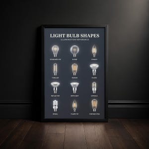 Op de afbeelding: Een ingelijste poster met de titel LIGHT BULB SHAPES ILLUMINATION REFERENCE met twaalf verschillende soorten gloeilampen, waaronder Standard A19, Globe, Candle, Tubular, Edison, Flood, Reflector, Spotlight, Capsule, Spiral, Flame Tip en Vintage ST64.