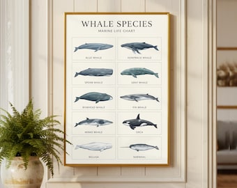 Whale Species | Marine Biology Canvas | Ocean Mammal Print | Deep Sea Animal Decor | Water Wildlife Wall | Nautical Science Poster Art Grid