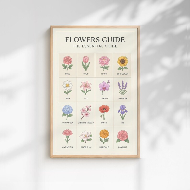 Flowos Visual Guide Affiche Guide des Fleurs Essentielles | Carte Botanique Minimaliste ...