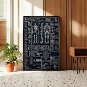 Könnte beinhalten: Ein gerahmtes Poster mit einer detaillierten Darstellung eines menschlichen Skeletts, beschriftet mit "M-X9 ENDOSKELETON". Das Diagramm ist weiß auf dunkelblauem Hintergrund. Das Poster wird in einem Raum mit einer Topfpflanze und einem hölzernen Beistelltisch gezeigt.